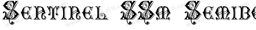 Sentinel SSm Semiboldltalici字体转换